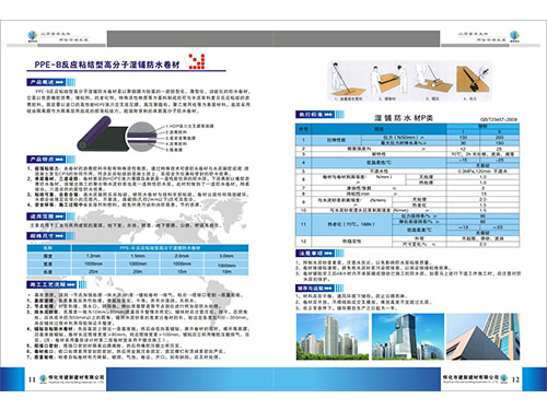 PPE-B高分子反應(yīng)粘